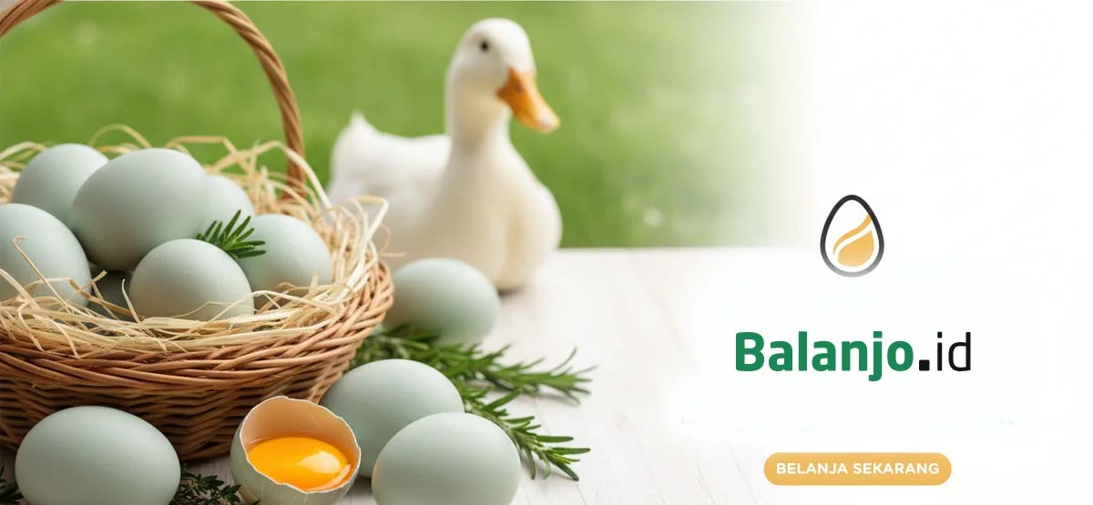 Telur itik/Bebek Segar