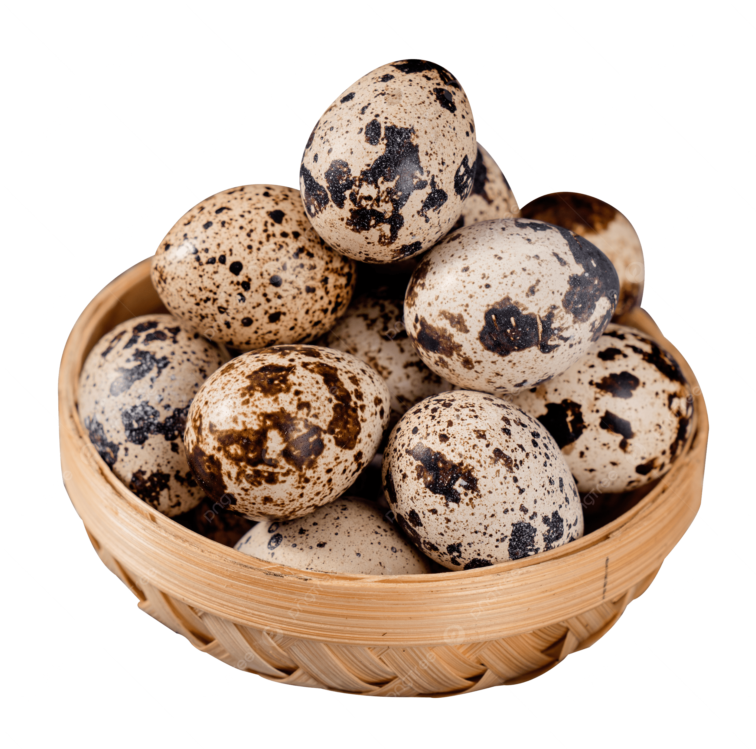 Telur Puyuh 1 ikat (10 papan)