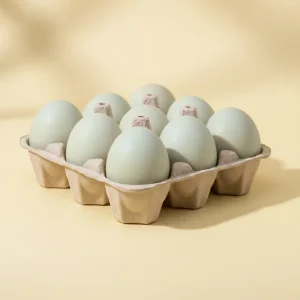 Telur Itik