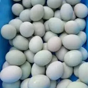Telur Itik
